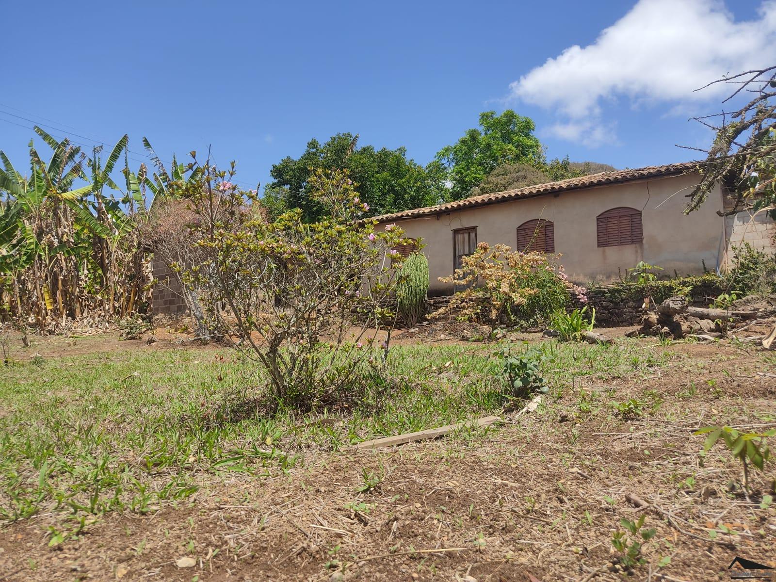 WhatsApp Image 2022-10-05 at 16.06.54