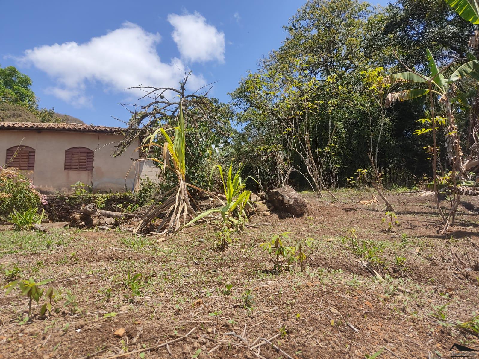 WhatsApp Image 2022-10-05 at 16.06.55