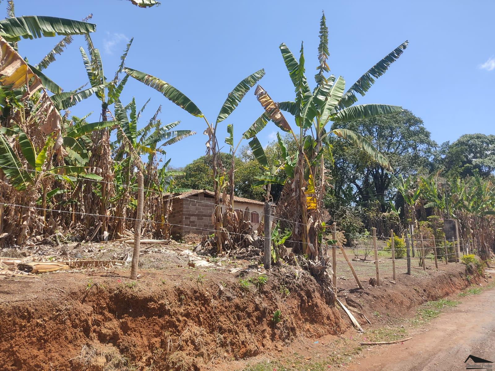 WhatsApp Image 2022-10-05 at 16.06.56 (3)