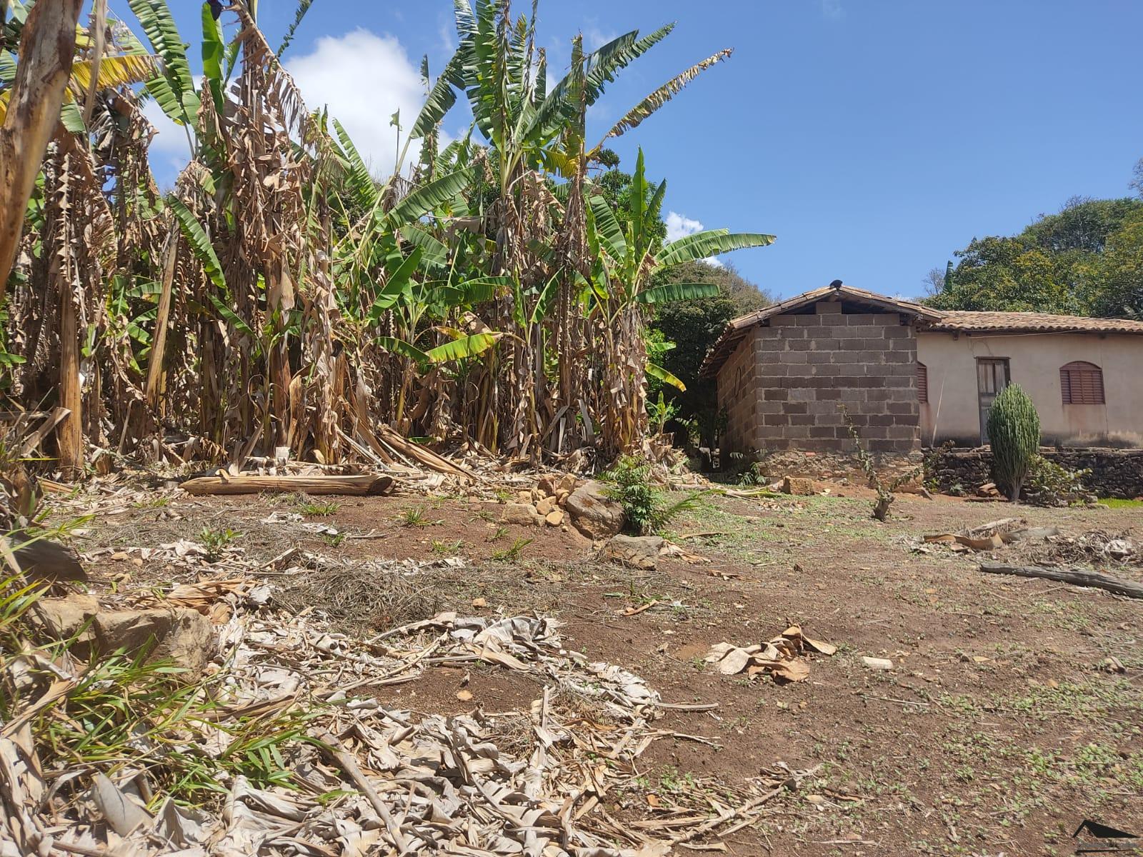 WhatsApp Image 2022-10-05 at 16.06.56