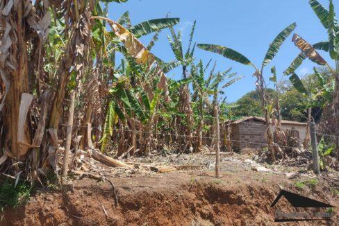 WhatsApp Image 2022-10-05 at 16.06.57