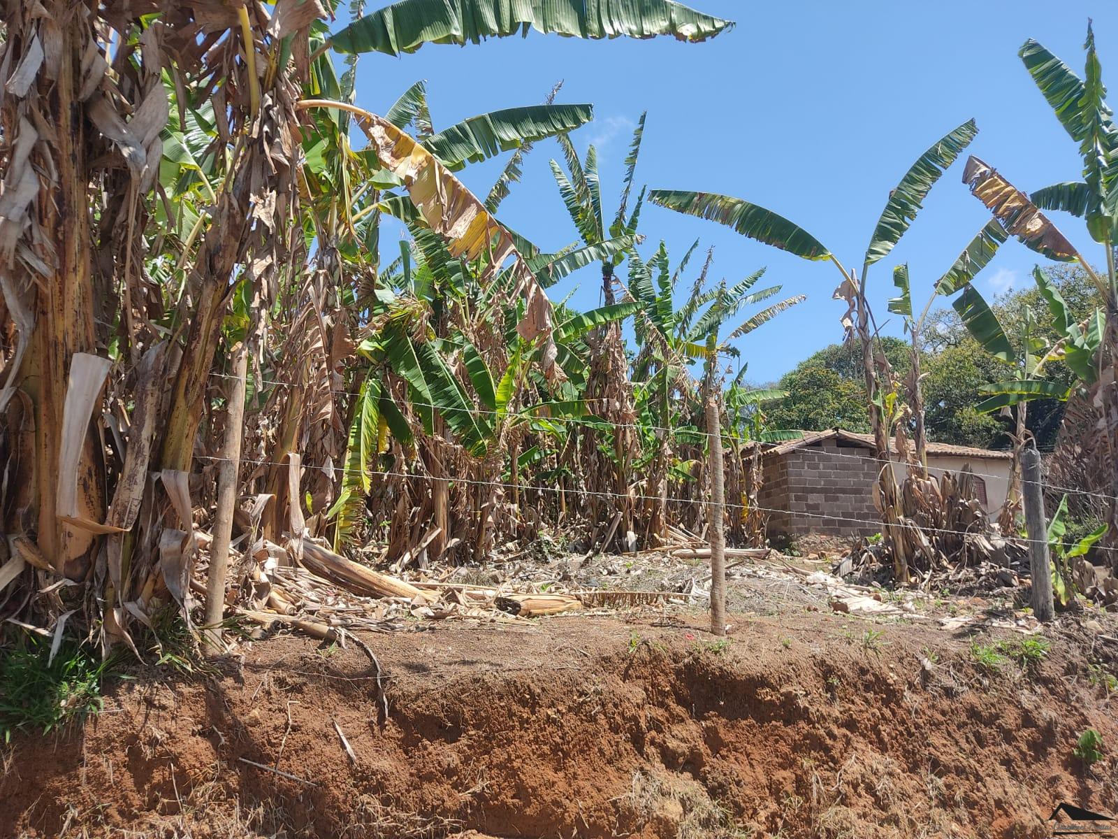 WhatsApp Image 2022-10-05 at 16.06.57