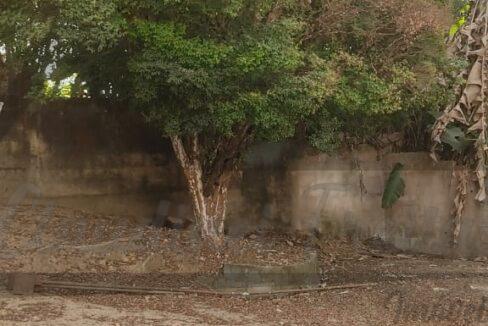 WhatsApp Image 2023-08-16 at 09.46.20 (4)