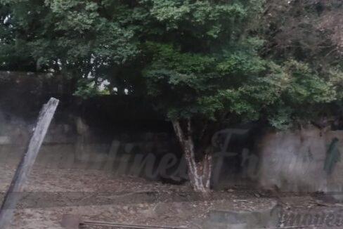 WhatsApp Image 2023-08-16 at 09.46.20 (6)