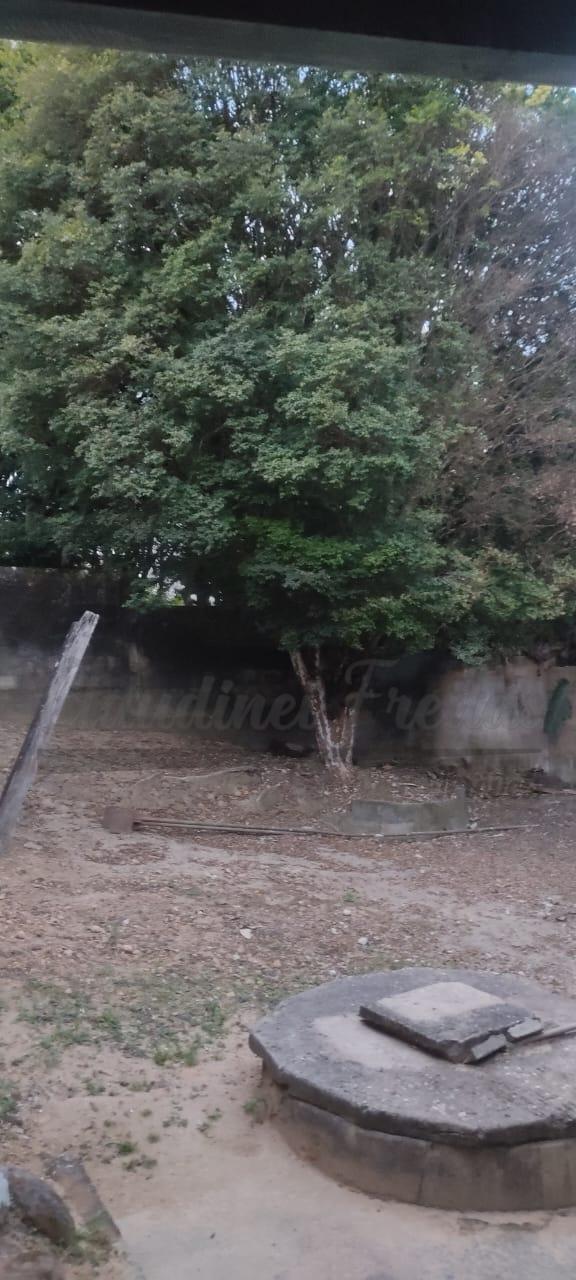 WhatsApp Image 2023-08-16 at 09.46.20 (6)