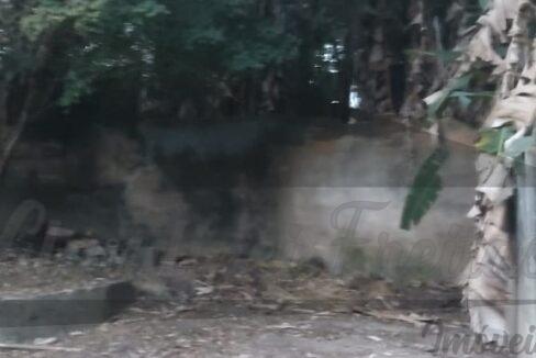 WhatsApp Image 2023-08-16 at 09.46.21 (1)